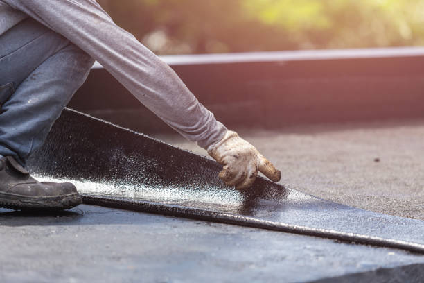 Professional Interior Drainage System technician working in Lennon, MI